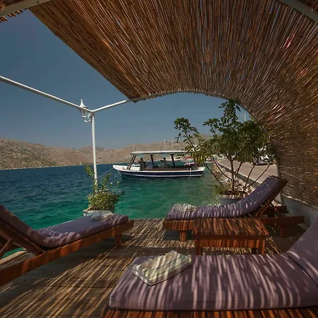 Hotel Dolphin Boutique 4*